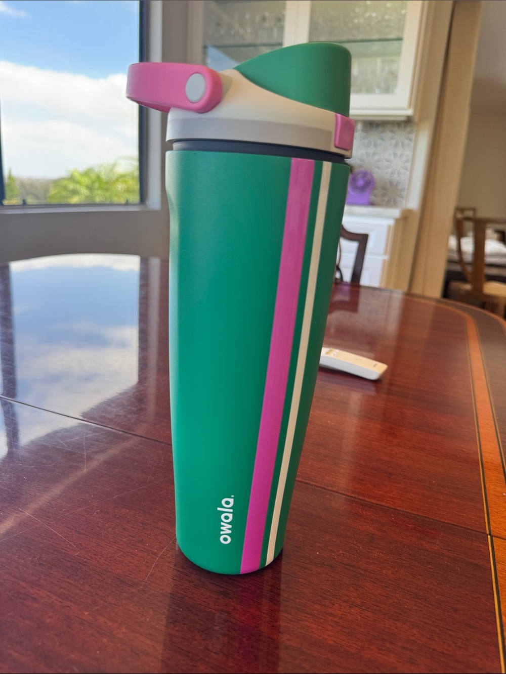 Owala 40oz retired Green & Pink Striped Insulated Water Bottle with Flip Handle